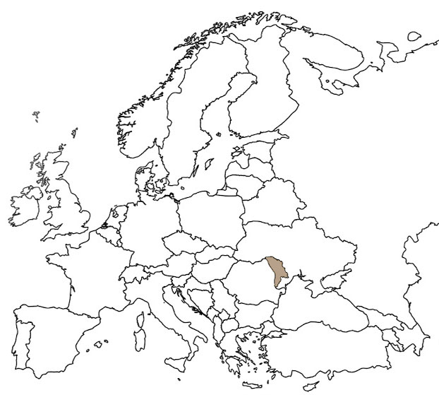 Доставка термодревесины по Европе